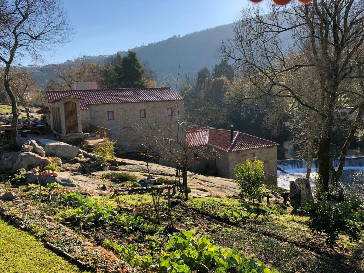 Accommodatie bij particulieren Azenha Do Tio Luis Caminha